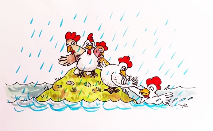 Come salvare il pollaio quando dio la&nbsp;manda…