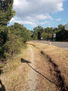 Sewntiero lungo strada asfaltata