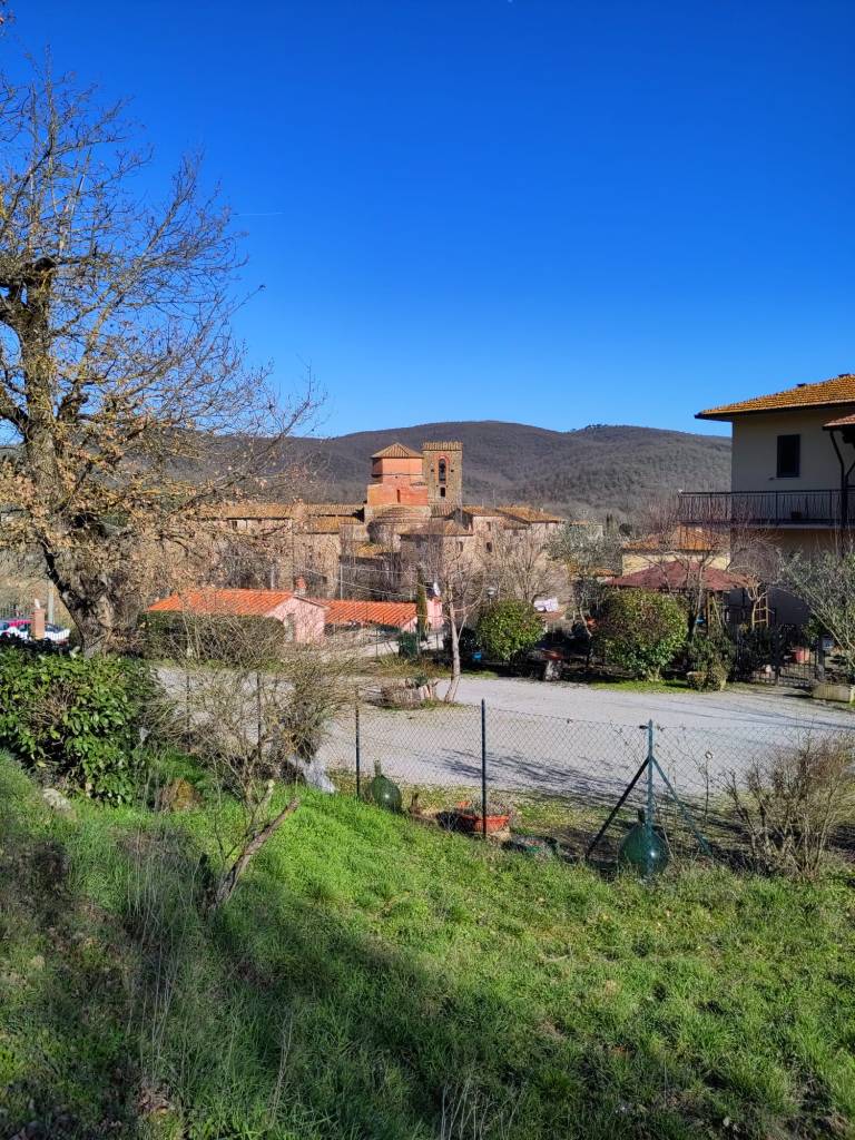 Panoramica di Badia a Ruoti, abbazia sullo sfondo