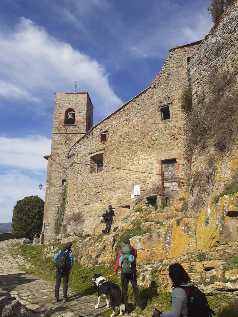 Quattro person, una con cane, che guardano verso l'alto, osservando strutture murarie.