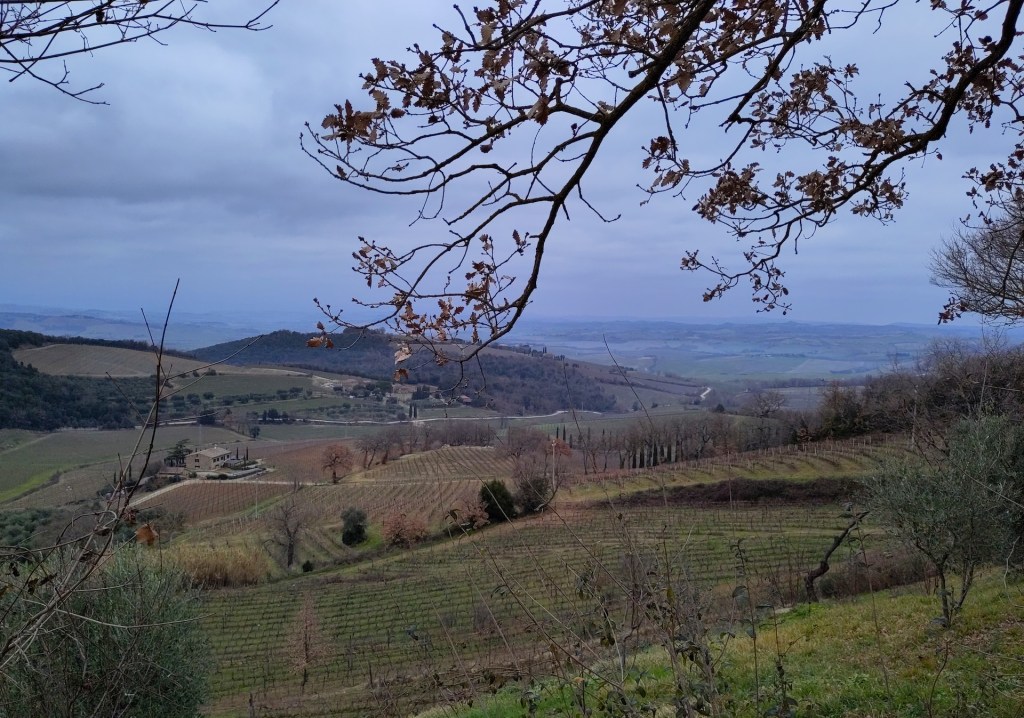 Grande panorama e cieli aperti: Trekking da Montalcino a&nbsp;Buonconvento