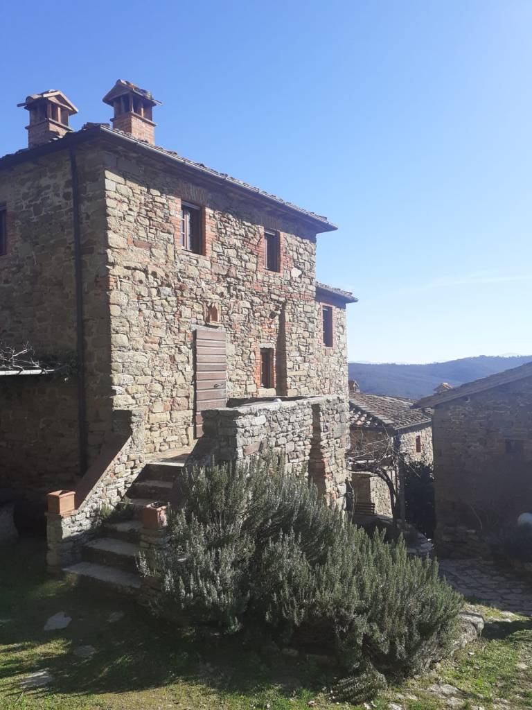 Casa in cima a vicolo, cespuglio di rosmarino in primo piano
