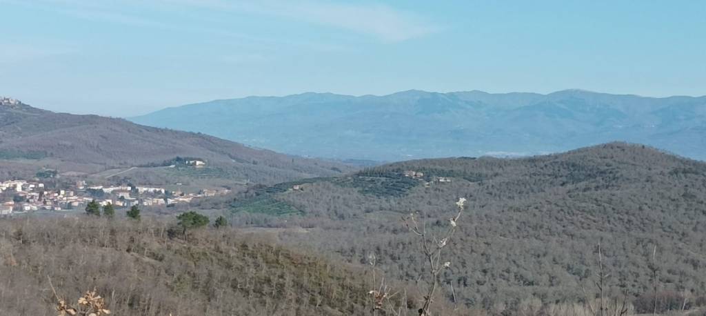 Panorama della Valdambra, Ambra in basso a sinistra.