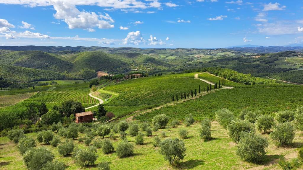 Le colline chiantigiane e la promessa (mancata) di due schiacce con l’uva: Panzano in&nbsp;cammino