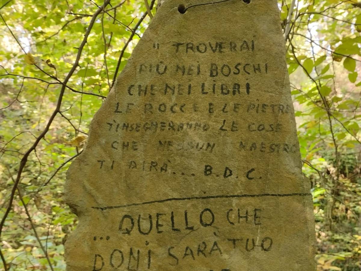 Tra vigne e arte: alla scoperta della Certosa di&nbsp;Pontignano