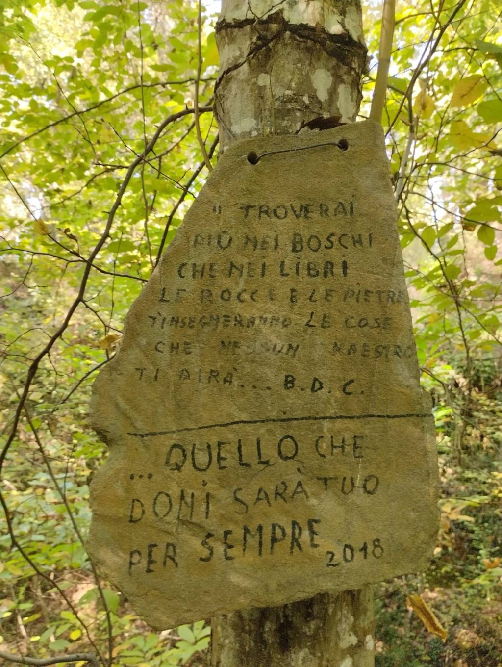 Tra vigne e arte: alla scoperta della Certosa di&nbsp;Pontignano